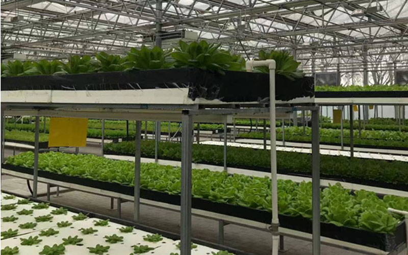 超凡娱乐-梦想照进现实,起劲成绩未来!